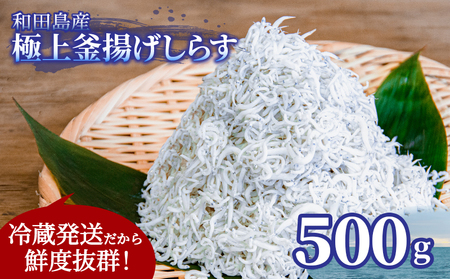 釜揚げ しらす 500g 冷蔵 国産 徳島県産 和田島産 とれたて 新鮮 産地直送 発送 小分け 250g 2袋 セット 和田島しらす ちりめん 魚介類 魚 小魚 [北海道、東北、沖縄、離島配送不可]