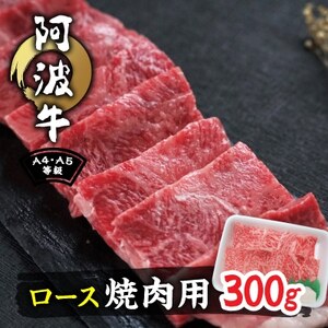 阿波牛A4・A5等級ロース焼肉300g_肉 焼肉 牛肉 やきにく ヤキニク バーベキュー 肉 黒毛和牛 牛肉 肉 牛肉 _[配送不可地域:離島]