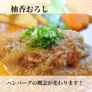 [2個入り×3袋]ゆこうおろしぽん酢ハンバーグ 地元で愛され続けるソウルフード[配送不可地域:離島]
