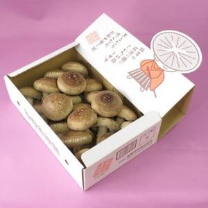 徳島県産菌床生椎茸 しいたけ侍 20枚入[配送不可地域:離島]