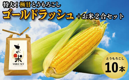 とうもろこし ゴールドラッシュ 10本 米 2合 セット 先行予約 とうもろこし 米