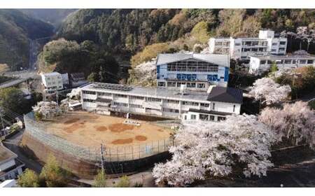 中山間地域交流拠点施設 たねのや 宿泊券 （１泊・大人２名・夕食BBQ・朝食付き） ペア宿泊券 リノベーション 宿泊 BBQ 朝食 吉野川市美郷