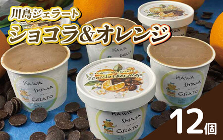 WF[g VR & IW 12 쓇WF[g WF[g WF[g