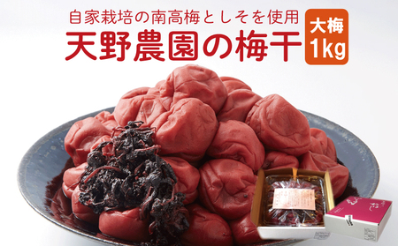 先行予約 天野農園の梅干1kg(大梅)[ 2025年10月中旬 〜 順次出荷 ] 大粒 保存料不使用 着色料不使用 美郷産 徳島県 吉野川市 天野農園