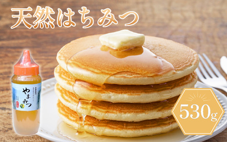 はちみつ 山都物語 ボトルタイプ 530g はちみつ はちみつ はちみつ