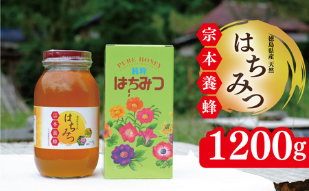 はちみつ 瓶詰 1200g はちみつ はちみつ はちみつ はちみつ はちみつ はちみつ