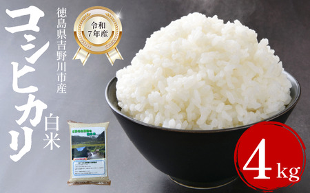 米 白米 4kg (2kg × 2袋 )コシヒカリ 令和7年度産 米 米 米