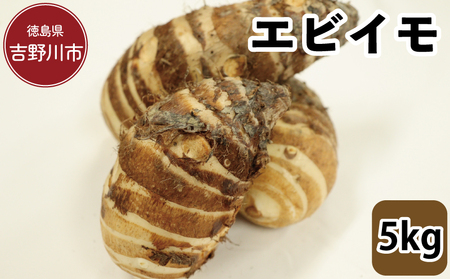エビイモ 5kg 2025年10月上旬〜発送予定 エビイモ 芋 野菜 エビイモ 芋 野菜