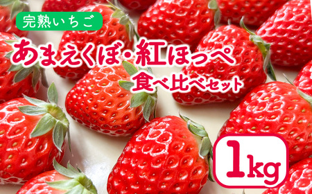 いちご 1kg 紅ほっぺ あまえくぼ 食べ比べ セット ( 2025年 1月 以降 発送予定 ) 4パック 朝採れ 期間限定 人気 果物 フルーツ 新鮮 旬 冬 春 ケーキ ショートケーキ デザート ギフト 贈り物 贈答 イチゴ 苺 ストロベリー 徳島県 吉野川市 あんいちご園