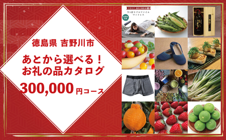 あとから選べる カタログ 30万円コース