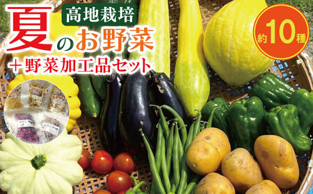 夏野菜 セット 野菜 加工品 詰合せ 野菜 野菜 野菜 野菜 野菜 野菜 野菜