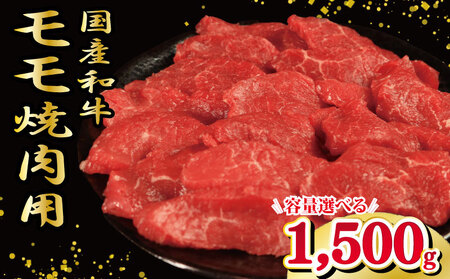  1.5kg ēp 