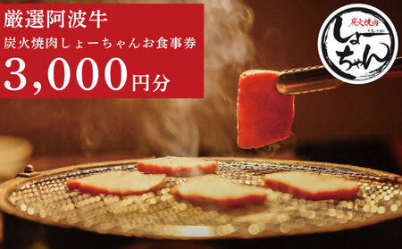 焼肉 食事券 3000円分 チケット 焼き肉 焼き肉 焼き肉 焼き肉 焼き肉 焼き肉 焼き肉