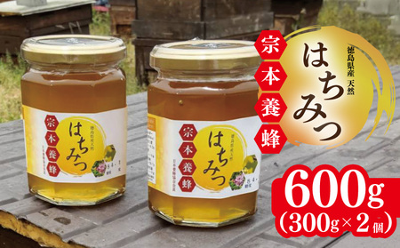 はちみつ 天然 300g 2個 はちみつ はちみつ はちみつ はちみつ はちみつ はちみつ