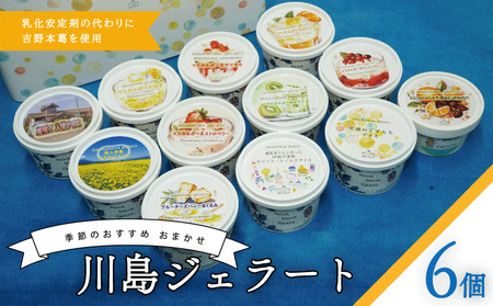 ジェラート 詰め合わせ おまかせ 6個 セット 120ml 川島ジェラート ジェラート ジェラート ジェラート ジェラート ジェラート