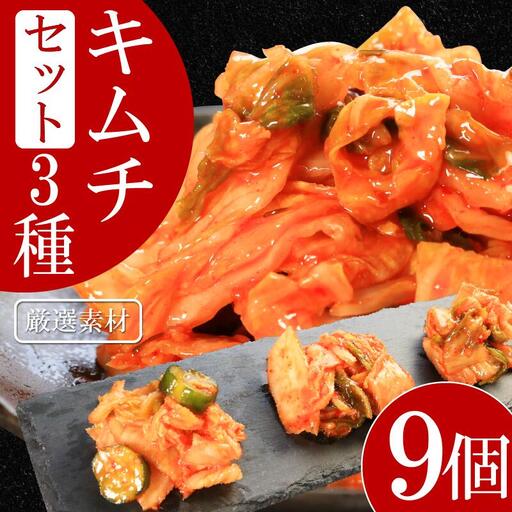 キムチ 3種 セット 各3個ずつ 計9個 本格キムチ カッパキムチ 白菜キムチ 