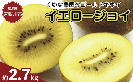 訳あり ゴールドキウイ 先行予約 約2.7kg 2025年11月上旬〜発送 キウイ キウイ キウイ キウイ
