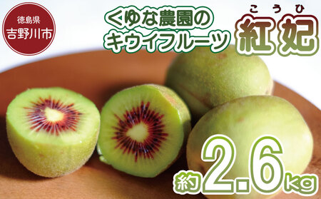 訳あり キウイフルーツ 紅妃 2.6kg 先行予約 2025年10月上旬〜 キウイ キウイ キウイ キウイ