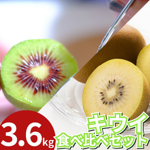 訳あり キウイフルーツ 食べ比べ セット3.6kg 先行予約 2025年10月上旬～ キウイ キウイ キウイ