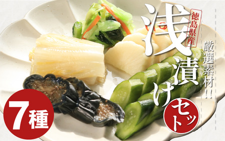 漬物 浅漬け 7種 セット つけもの 漬物 漬物 漬物