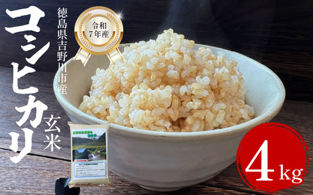 米 玄米 4kg (2kg×2袋) コシヒカリ 令和7年度産 米 米 米