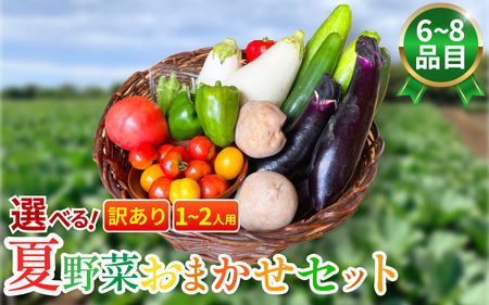 訳あり 野菜 夏野菜 セット 6〜8品目 1人〜2人用 詰め合わせ 野菜 夏野菜 野菜 夏野菜