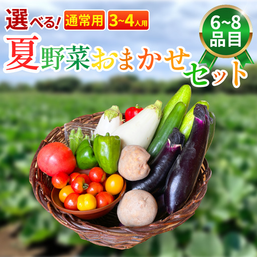 野菜 夏野菜 セット 6～8品目 3人～4人用 野菜 夏野菜 野菜 夏野菜