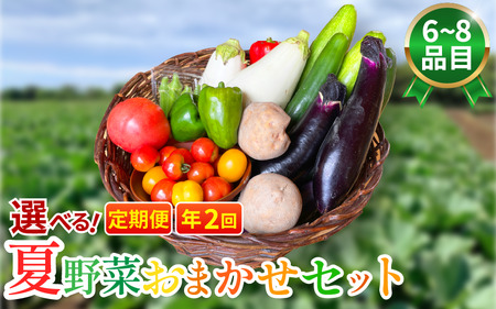 野菜 夏野菜 セット 6〜8品目 3人〜4人用 定期便 年2回 野菜 夏野菜 野菜