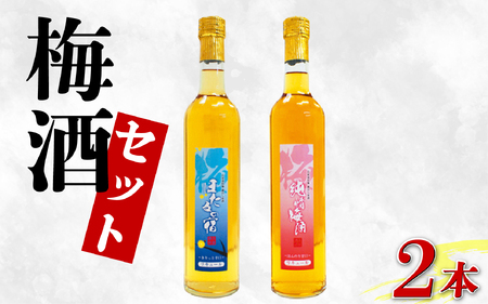 梅酒 セット 純情梅酒 ほたるの宿 飲み比べ 500ml 計2本 梅酒 梅酒 梅酒