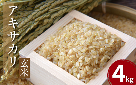 米 玄米 4kg ( 2kg × 2袋 )アキサカリ 玄米