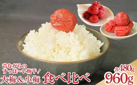 梅干セット 大梅 小梅 箱入り 各480g [ 2025年10月中旬 〜 順次出荷 ] 梅干し 梅干し 梅干し