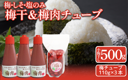 小梅干し 500g 1袋 梅肉チューブ 110g 3本 詰め合わせ [ 2025年11月から順次発送予定] 梅干 梅肉 梅干 梅肉