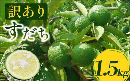 訳あり すだち 1.5kg 家庭用 2025年9月上旬〜9月中旬 順次発送 栽培期間中農薬不使用 スダチ すだち すだち すだち