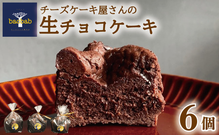 生チョコケーキ 6個 [チョコレート 生チョコ 濃厚 おやつ プレゼント] チョコケーキ チョコケーキ