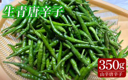 生青唐辛子 山辛唐辛子 350g 青唐辛子 冷蔵