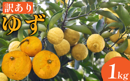 訳あり ゆず 1kg 家庭用