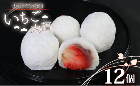 �������啟 12�� ���Y ������ �啟