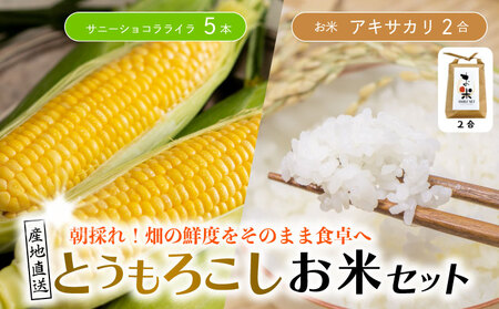 Ƃ낱  Zbg Tj[VRC 5{ 2kg s\ | Ƃ낱