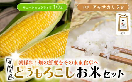 Ƃ낱  Zbg Tj[VRC 10{ 4kg s\ | Ƃ낱