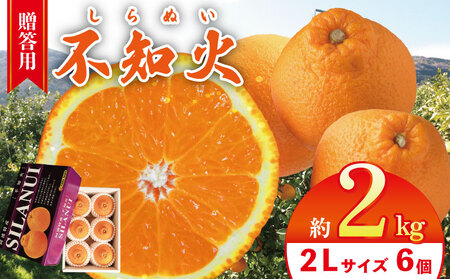 [不知火] 約 2kg (2Lサイズ 6個 ) 不知火 みかん しらぬい
