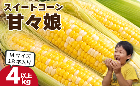 [ とうもろこし ] 甘々娘 4kg以上 Mサイズ 18本 サイズ混合 [ 2026年6月発送 ] スイートコーン かんかん娘
