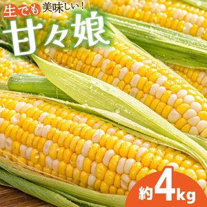 甘々娘 4kg 先行予約 レシピ付き とうもろこし とうもろこし