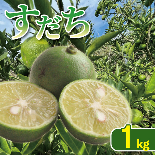 すだち 1kg 徳島県産すだち 2026年8月上旬〜発送予定
