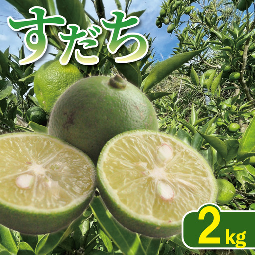 すだち 2kg 徳島県産すだち2026年8月上旬～発送予定