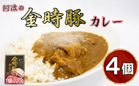 カレー レトルト 4箱 金時豚 豚肉 中辛 国産 ブランド豚 ポークカレー レトルトカレー レトルト食品 常温保存 徳島県 阿波市 カレｰ かれー