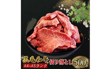 黒毛和牛 切り落とし 500g A5等級 阿波華牛 和牛 牛肉 ぎゅうにく 牛 ぎゅう うし 肉 ビーフ 赤身 ロース 肩 モモ すき焼き すきやき しゃぶしゃぶ 焼肉 牛丼 カレー シチュー BBQ アウトドア キャンプ ギフト プレゼント 贈答 お取り寄せ グルメ おかず 惣菜 おつまみ 弁当 日用 冷凍 小分け 送料無料 徳島県 阿波市