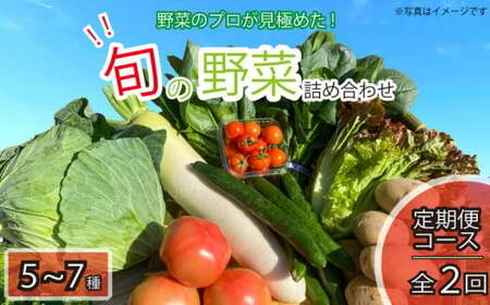 定期便 年2回 新鮮 旬の野菜セット 5~7品目 詰合せ セット 旬 新鮮 季節の野菜 やさい なすび ブロッコリー キャベツ 白菜 レタス サニーレタス ほうれん草 きゅうり ピーマン とうもろこし トマト ミニトマト 大根 絹さやえんどう インゲン豆 玉ねぎ じゃがいも すだち 産地直送 ギフト プレゼント 贈答 お取り寄せ グルメ 送料無料 阿波市 徳島県 ヨコタコーポレーション