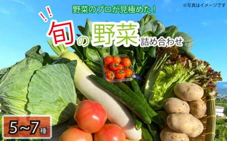 新鮮 旬の野菜セット 5~7品目 詰合せ セット 旬 新鮮 季節の野菜 やさい なすび ブロッコリー キャベツ 白菜 レタス サニーレタス ほうれん草 きゅうり ピーマン とうもろこし トマト ミニトマト 大根 絹さやえんどう インゲン豆 玉ねぎ じゃがいも すだち BBQ アウトドア ギフト プレゼント 贈答 お取り寄せ グルメ 産地直送 送料無料 阿波市 徳島県 ヨコタコーポレーション