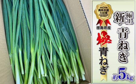 青ねぎ 5kg ネギ 葱 極上 薬味 国産 野菜 ねぎ ねぎ ネギ ねぎ ネギ