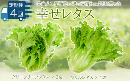 レタス 定期便 4回 野菜 詰め合わせ セット 計 7個 幸せレタス フリルレタス 4個 グリーンリーフ 3 水耕栽培 LED 栽培 低菌 丸ごと ベジタブル 副菜 常備菜 無農薬 サラダ ヴィーガン 健康 ヘルシー 日持ち 徳島県 阿波市 サラダ ダイエット